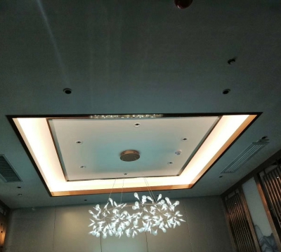 Stainless steel ceiling decoration